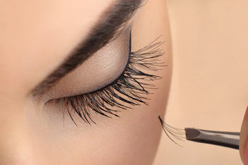 What's in the Best Eyelash Cluster Kit?