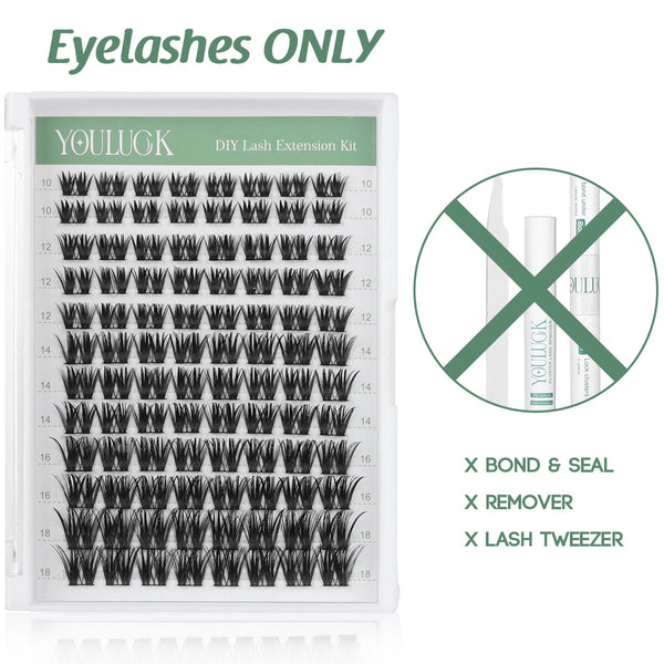 Elegant Sweep |  Natural Look Long Lasting DIY Lash Clusters