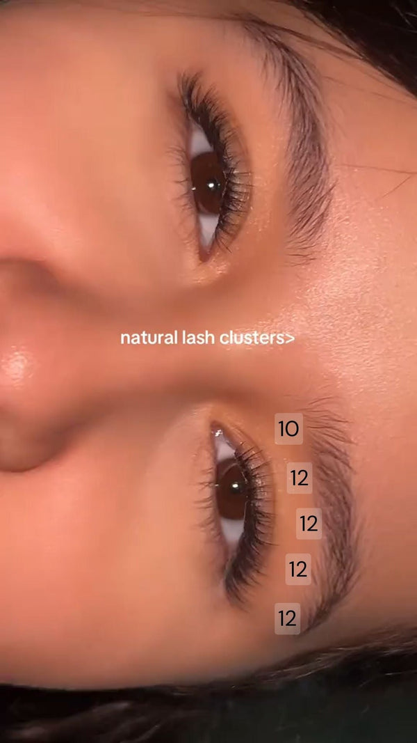 Vivid Lashes |  Natural Look Long Lasting DIY Lash Clusters